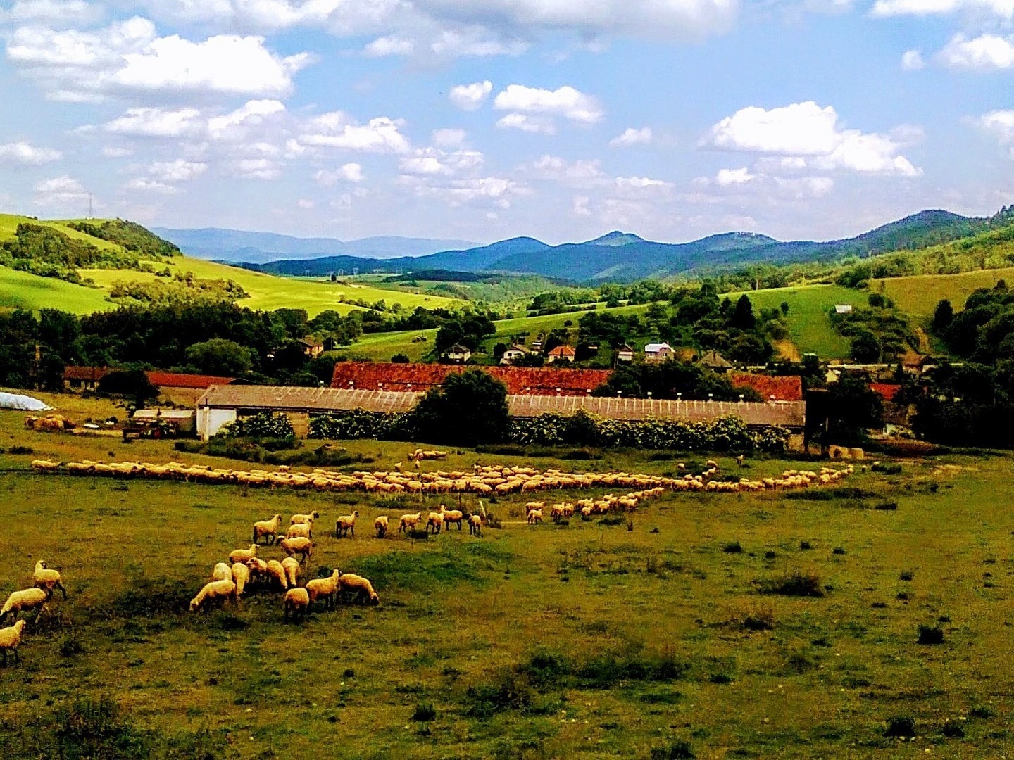 ŠARIŠSKÁ VRCHOVINA