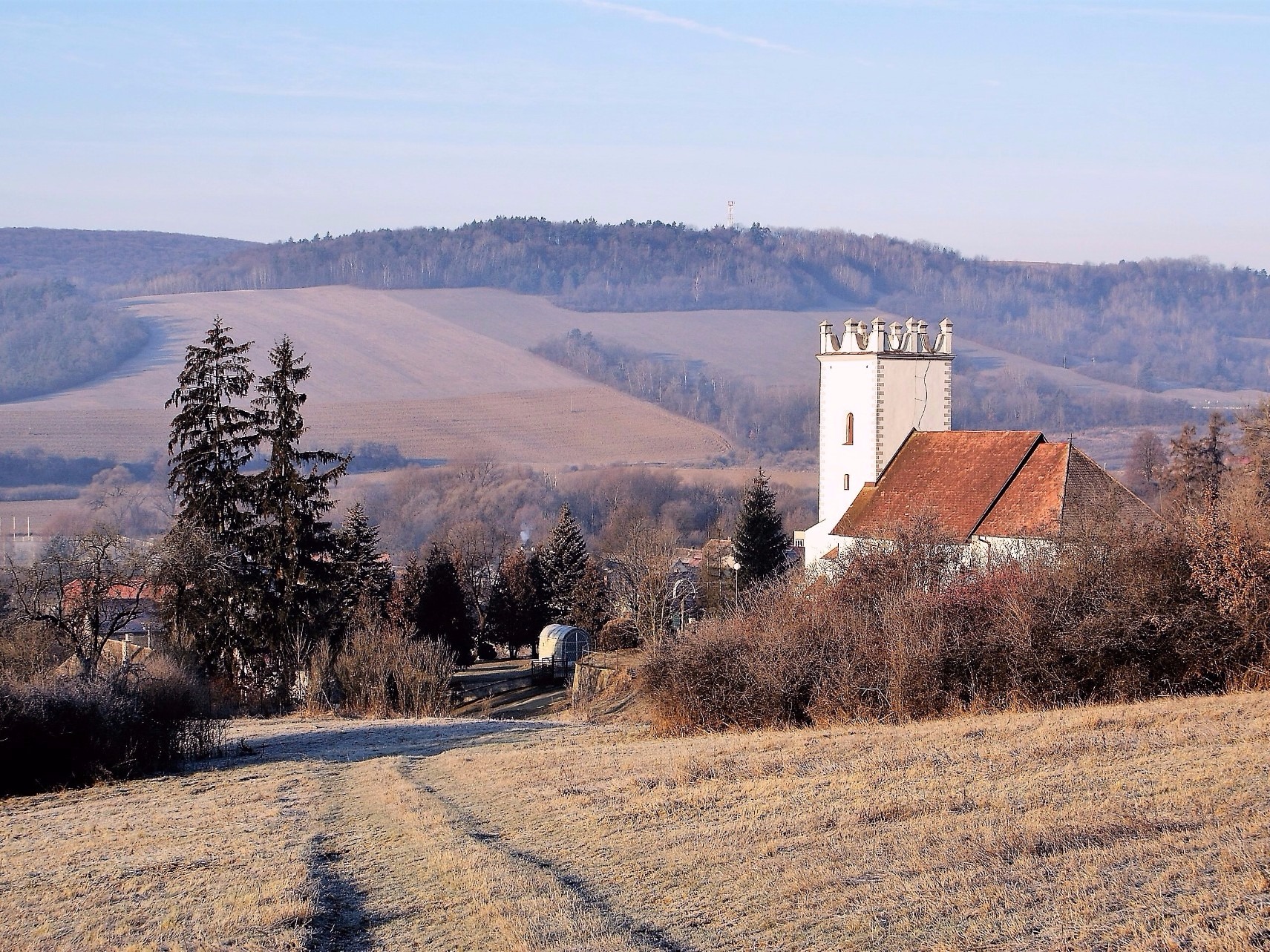 RADATICE